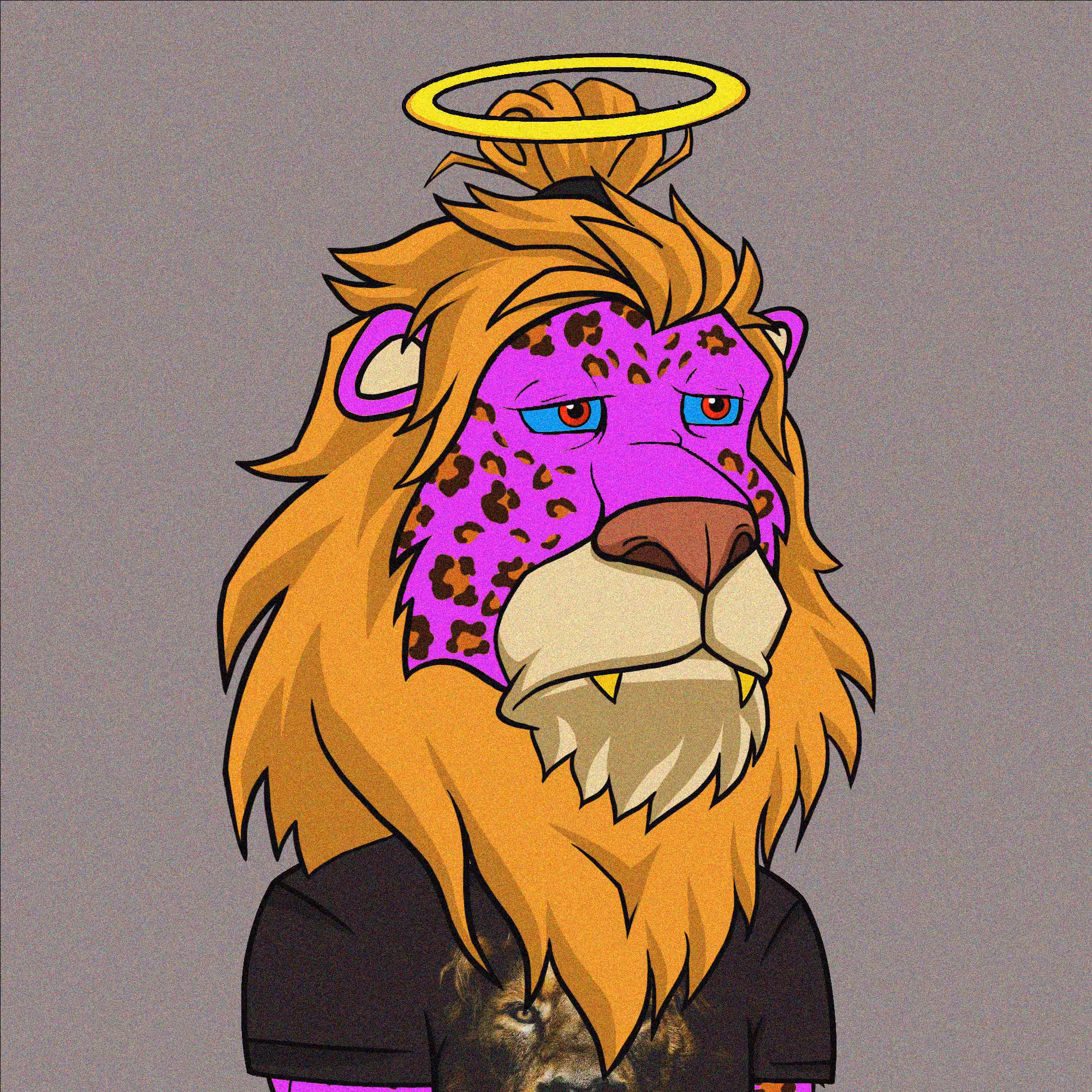 Wrapped Lazy Lion #6558
