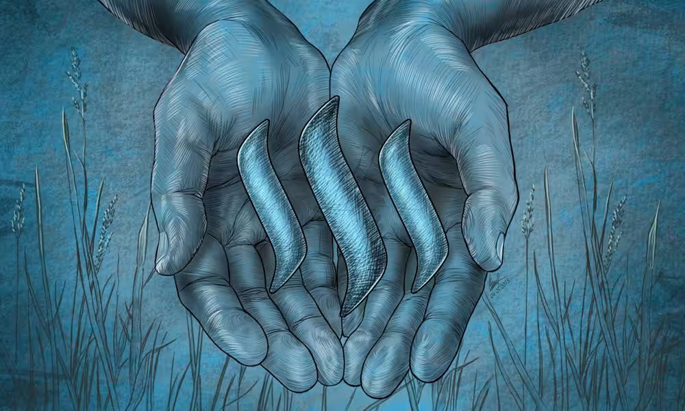 Dürer [Steem Edition] Crypto Logo Art #1