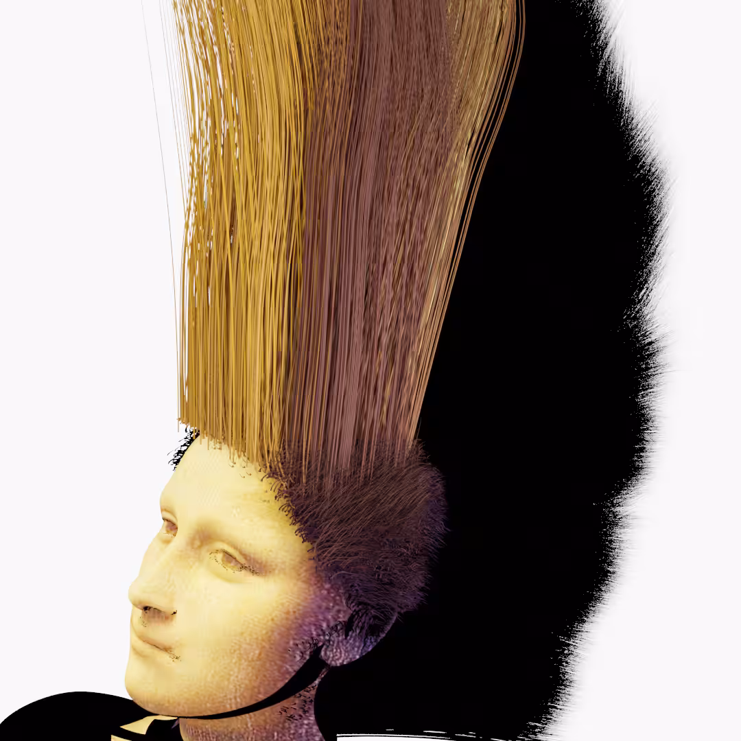PUNK LISA