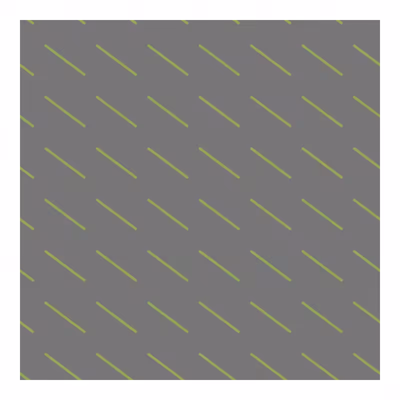 FLATWORLD #455