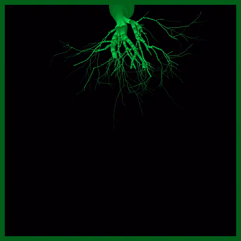 Arbres suspendus #222