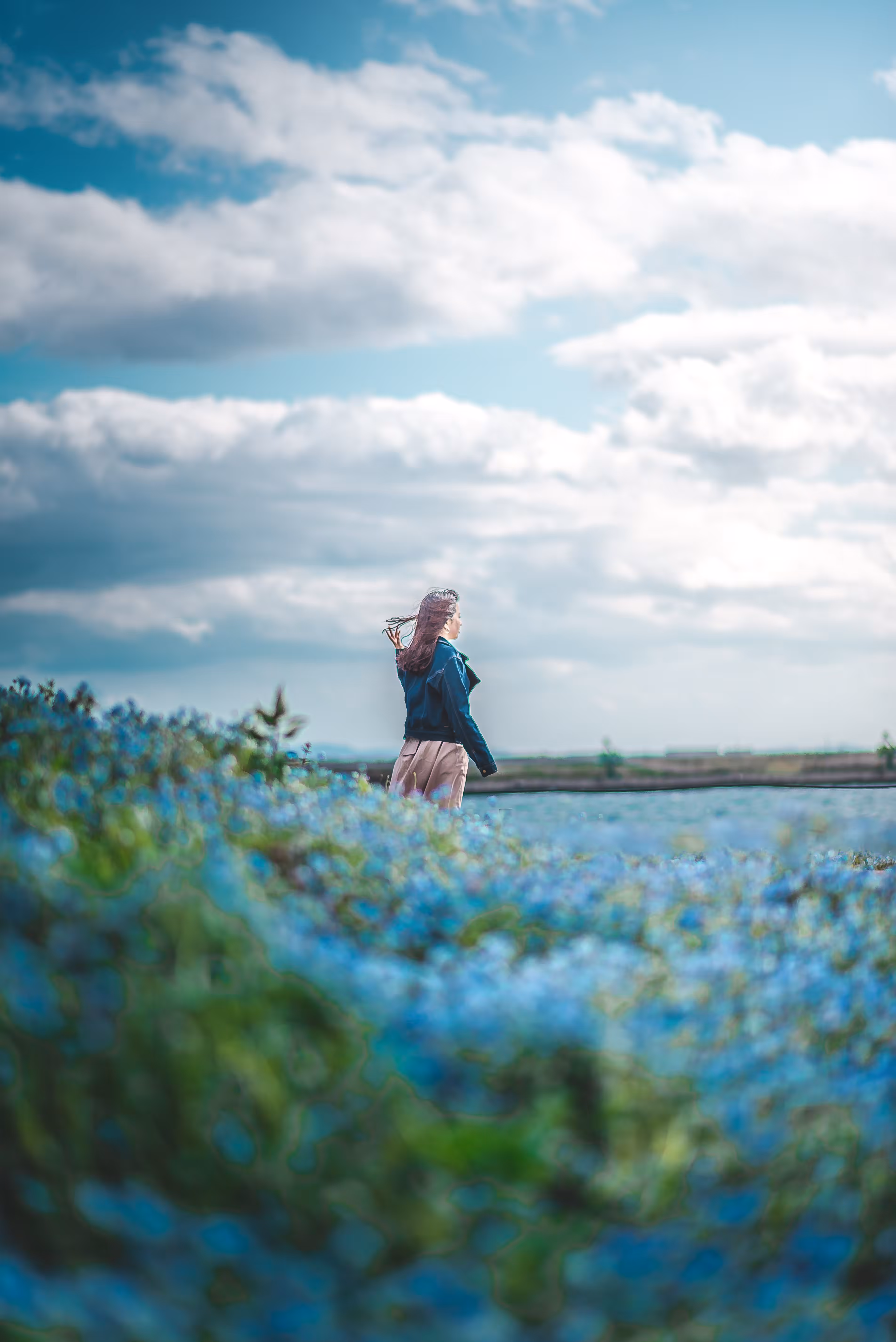 The Blue World