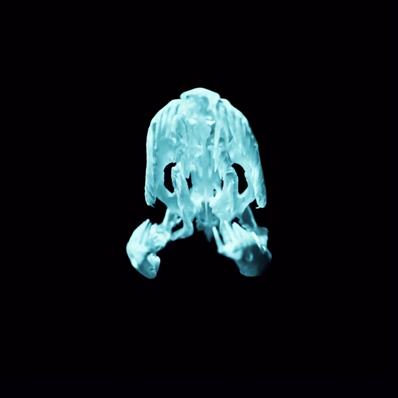 R.R. Winter Gamma Python