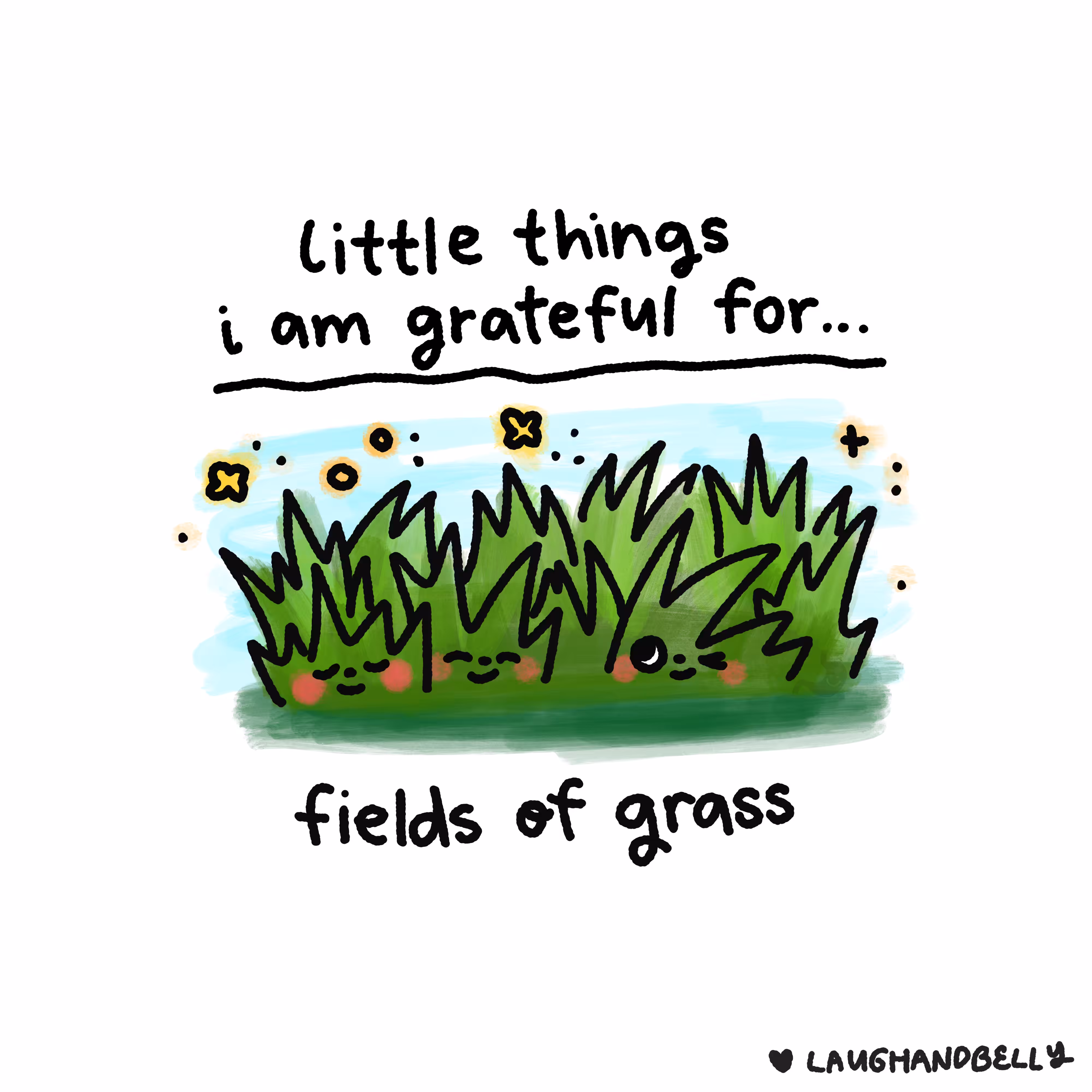 little things i am grateful for: Fields of Grass