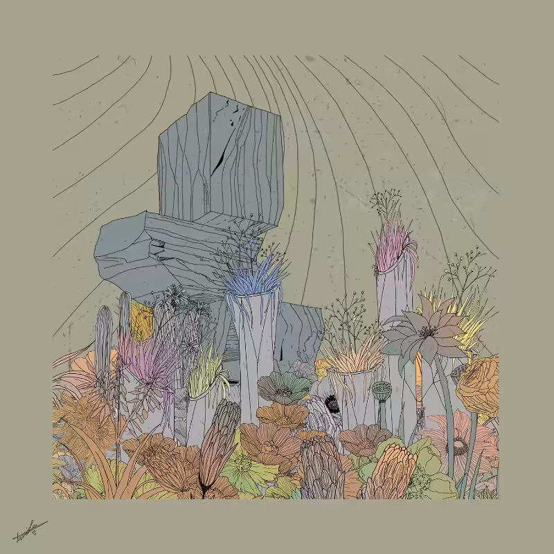 Garden of Lines #Rocks_Blooms #30
