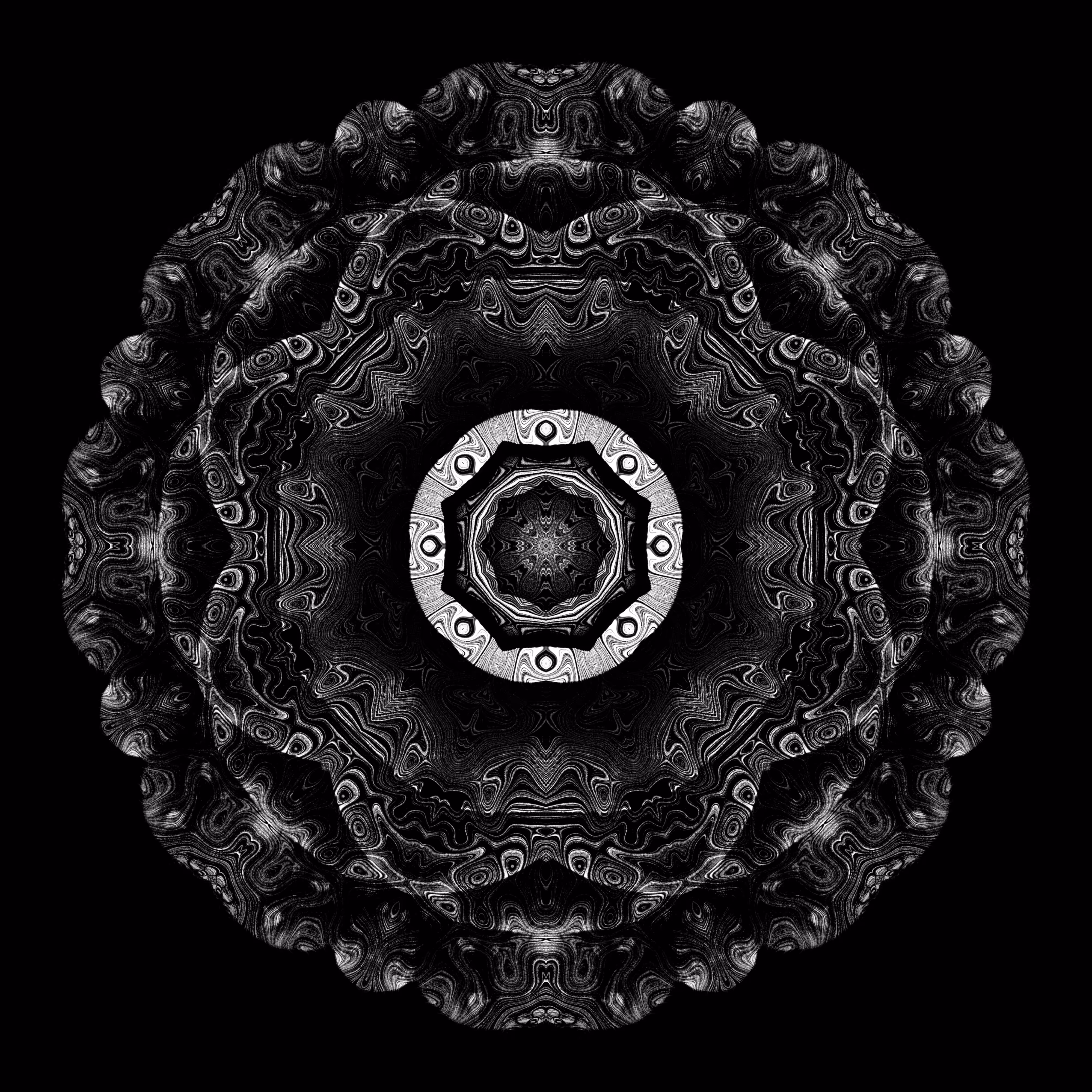 dark camellia D3