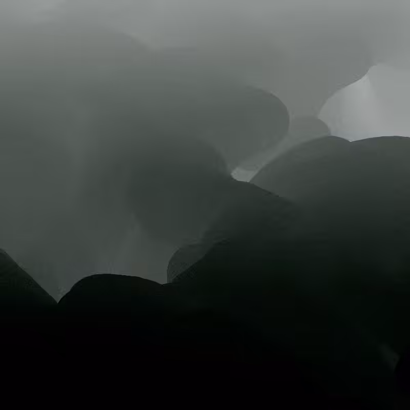 Covered in fog #7