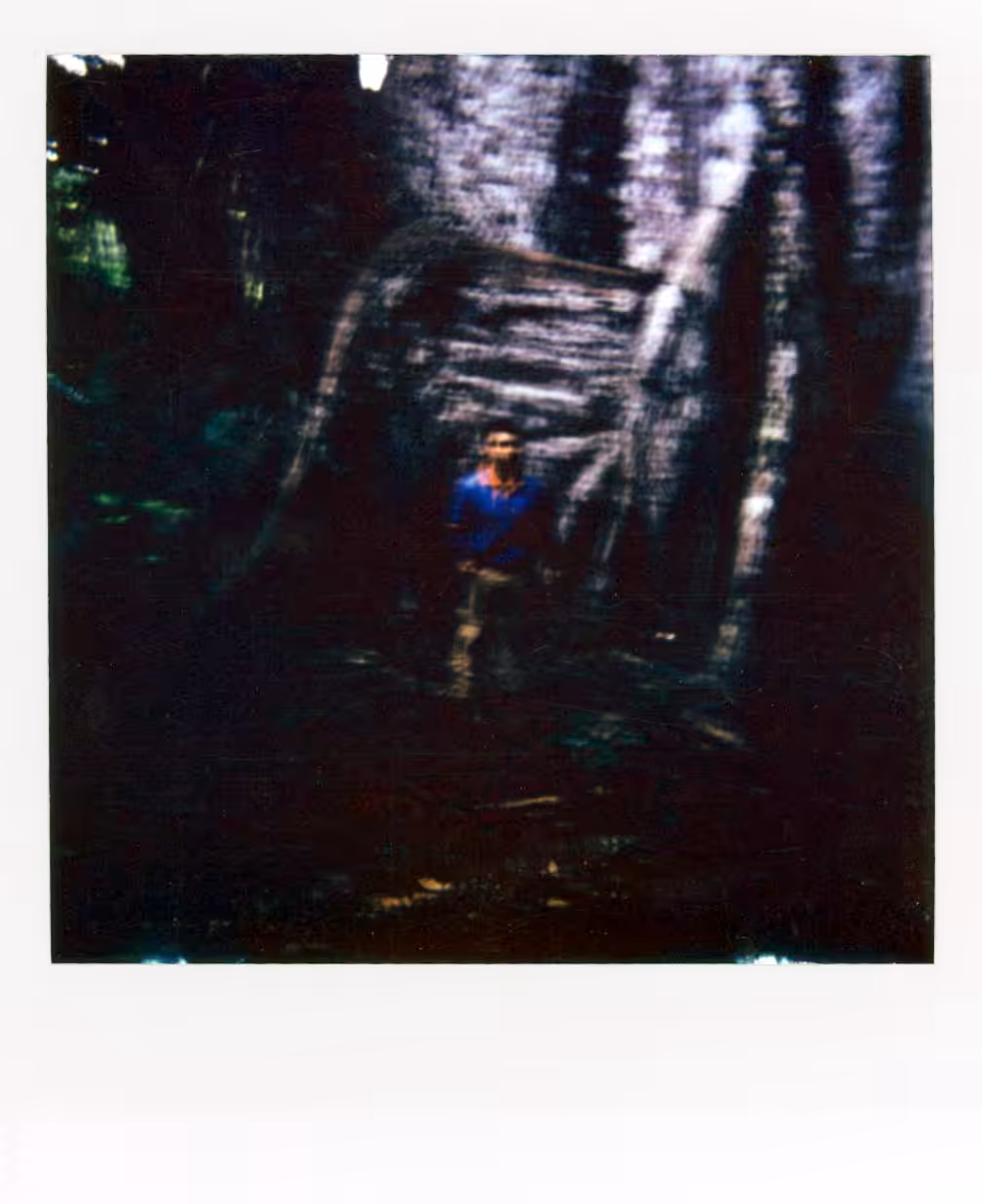Moments of the Unknown - Polaroids: February 20th