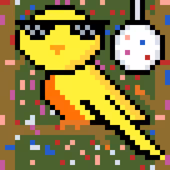 Disco_Budgie