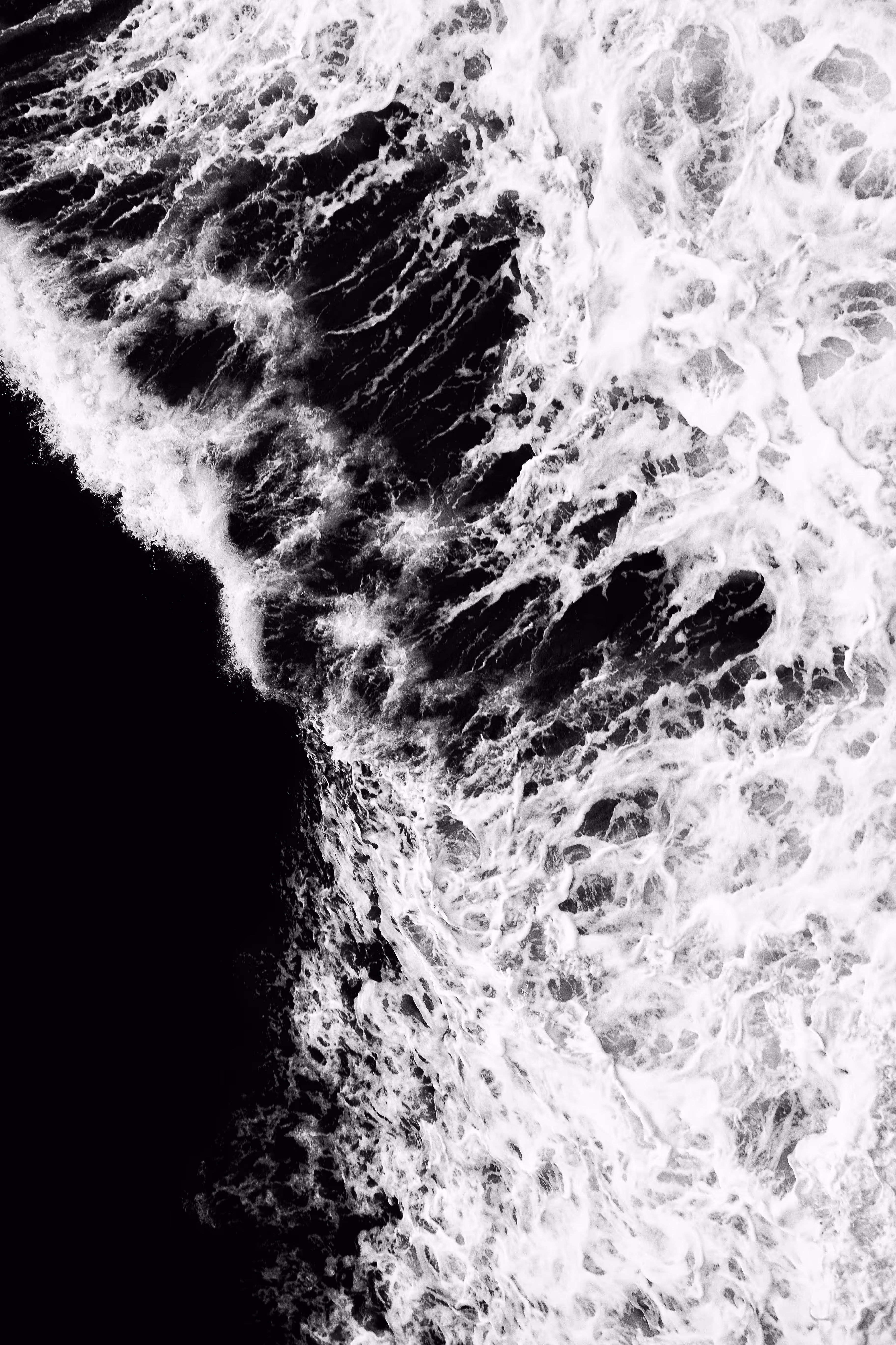 The Ocean #4