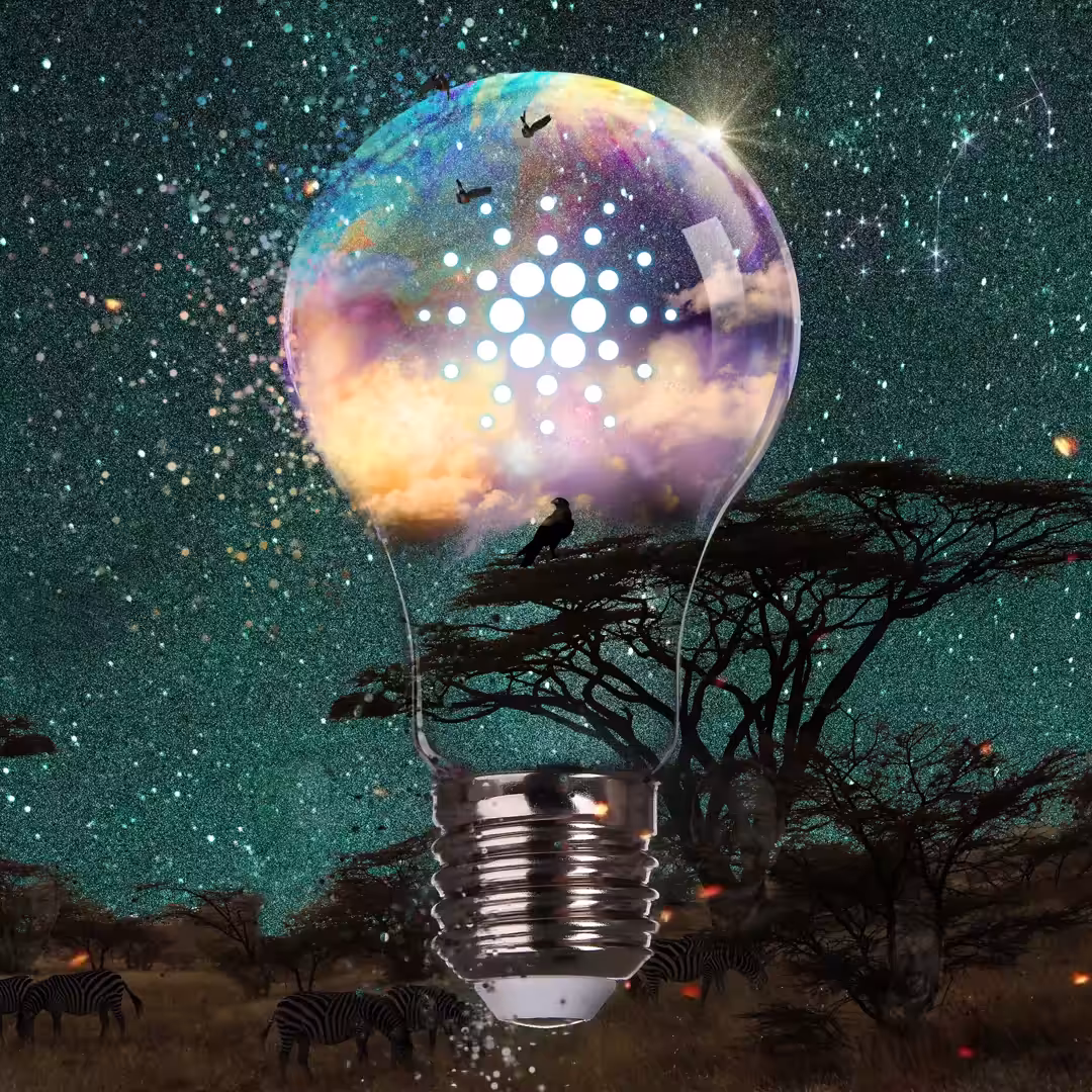 Birds Of Cardano