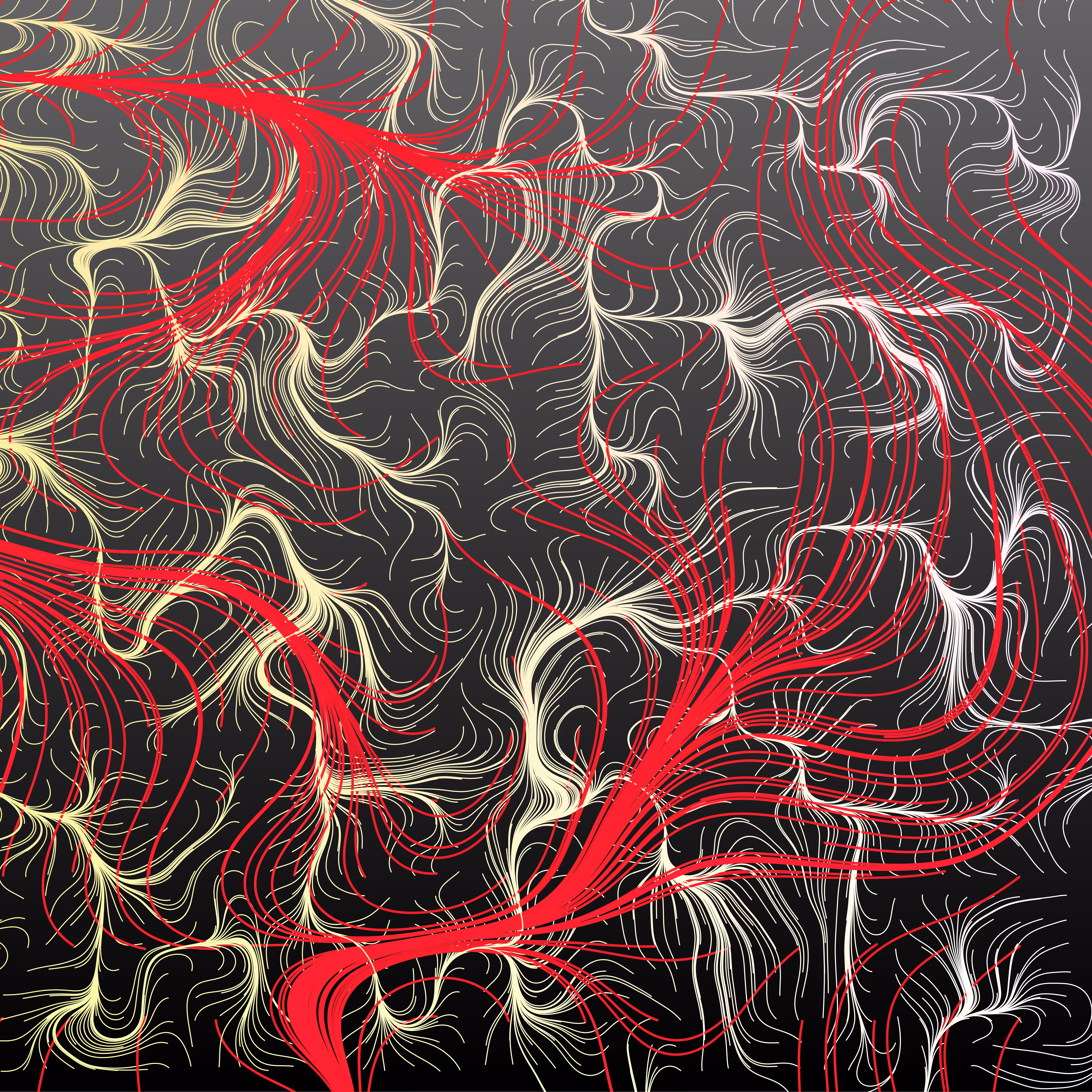 Neurolotus #7