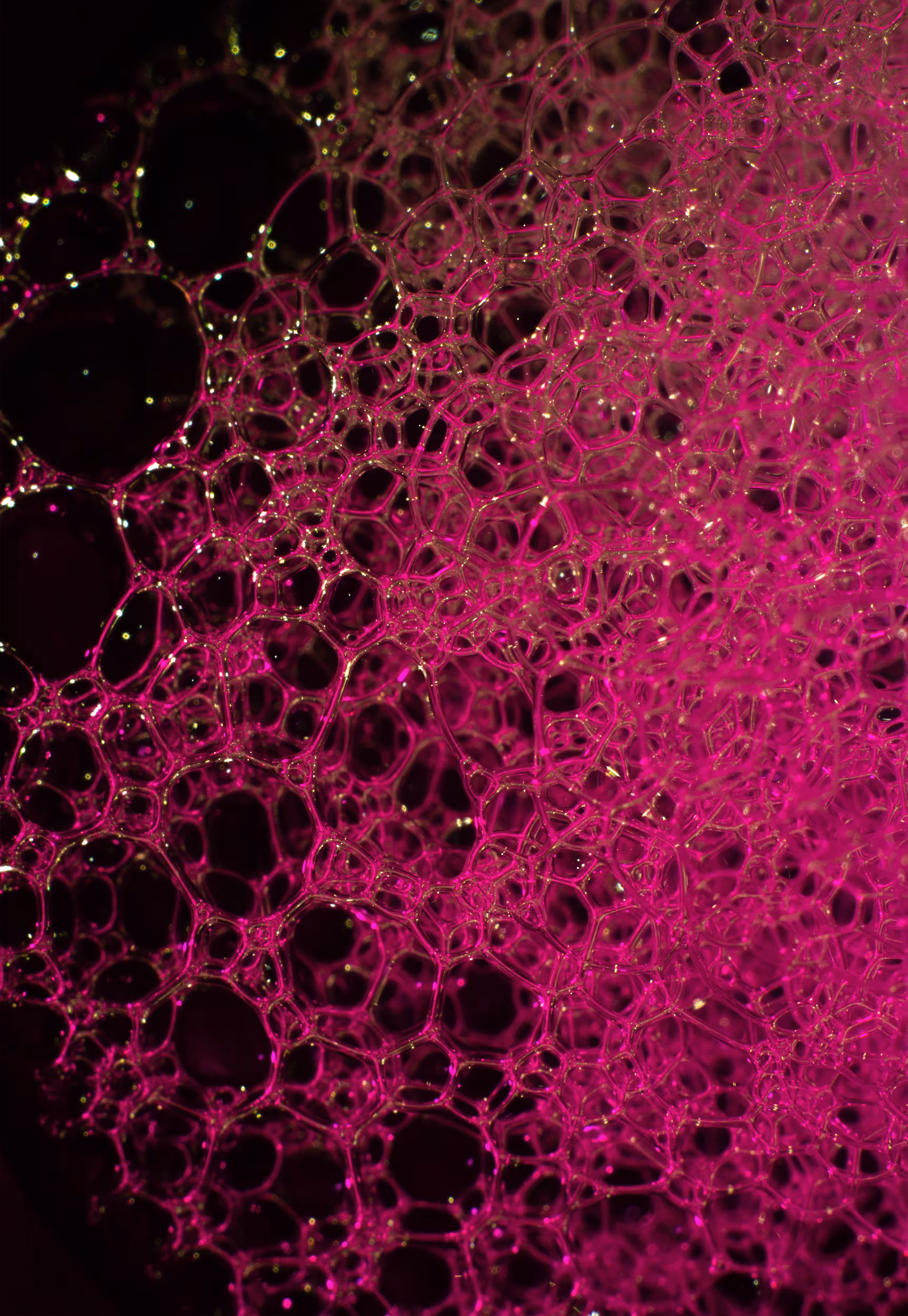 Abstract World of Soap Bubbles: #109 Bubbles