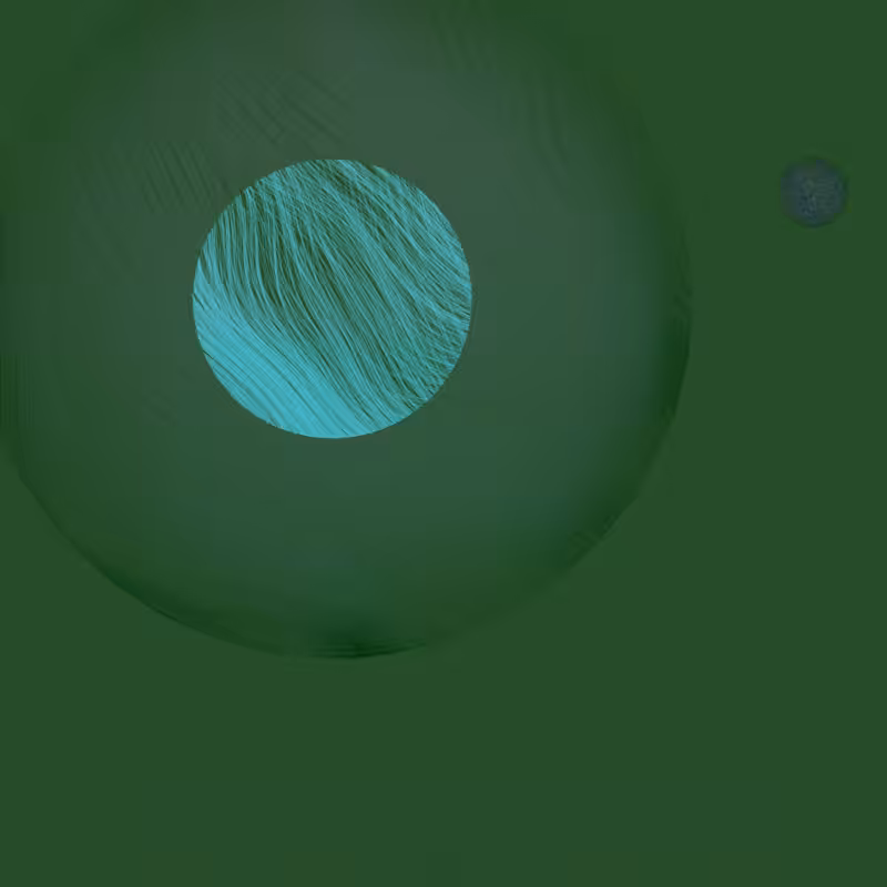 Orbit #40