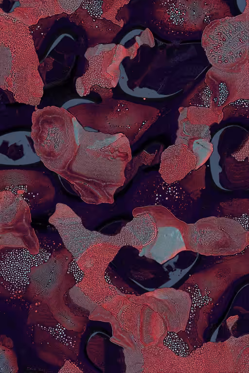 Dactylogram #77