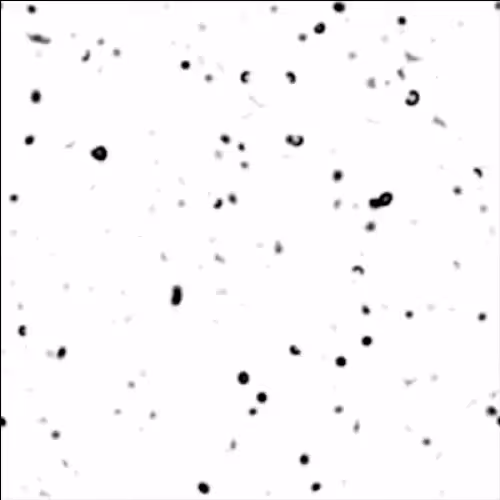 non-equilibrium bubbles: 3