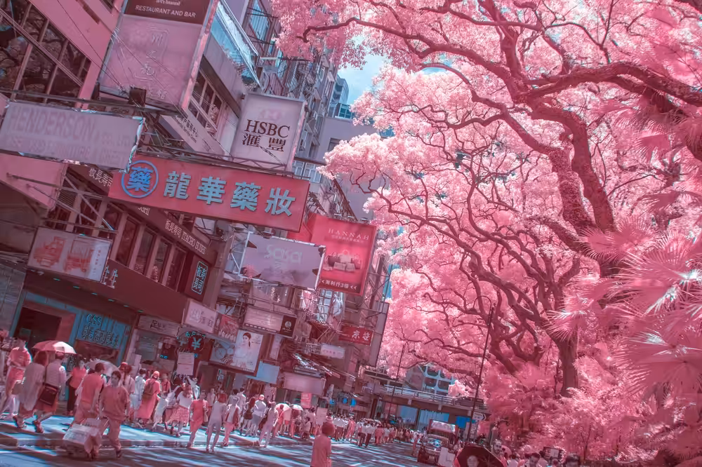 Hong Kong Infrared World