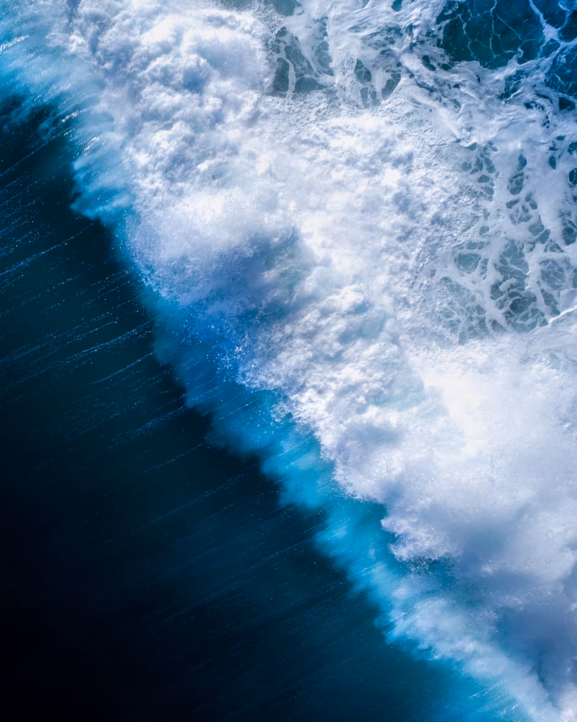 Ocean Raw #14