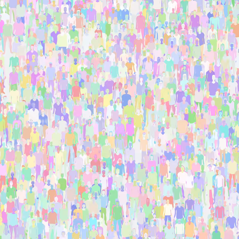Crowds #29