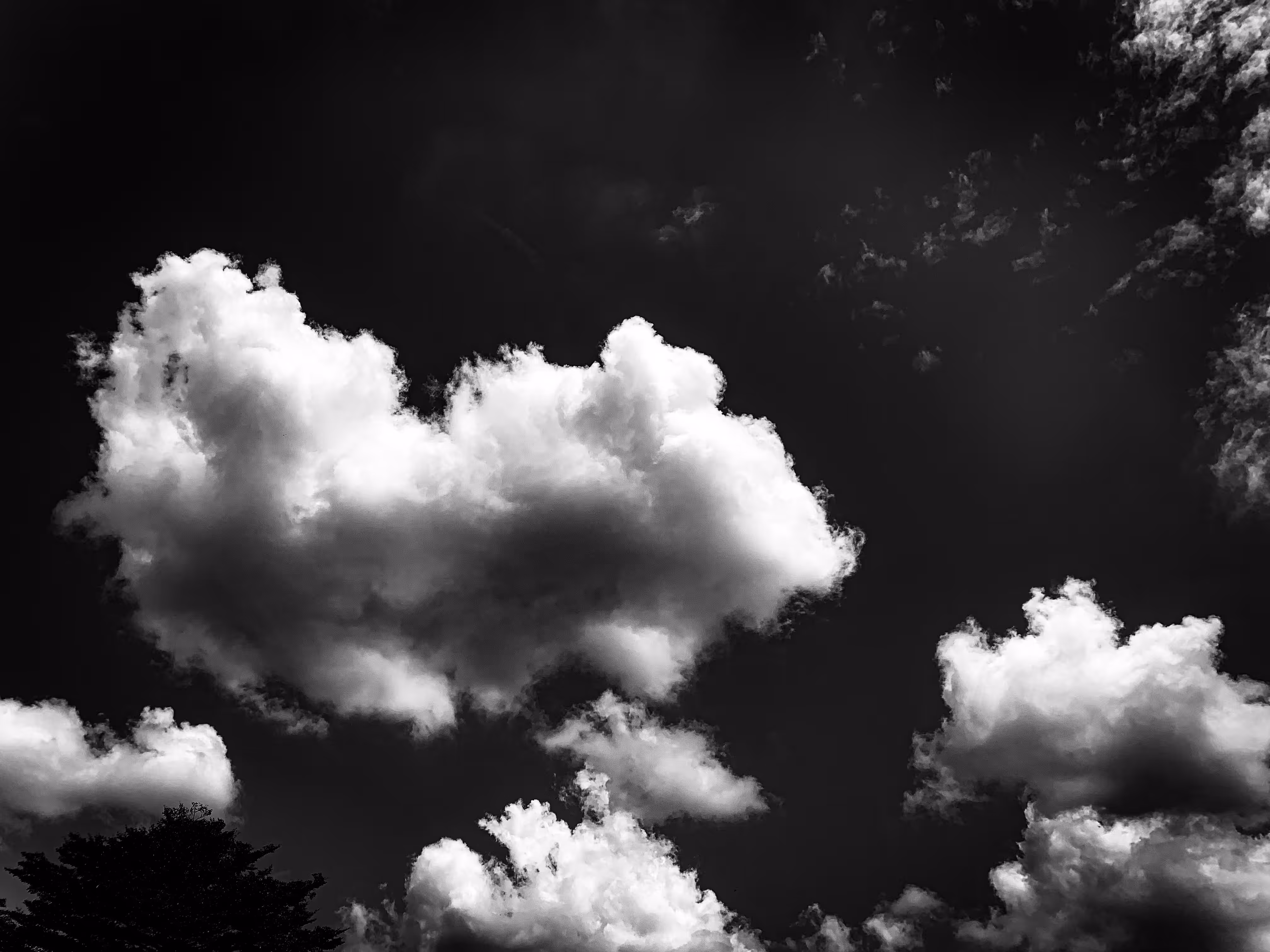 Cloudy with a chance of love