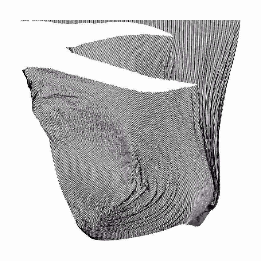 Fibril #242