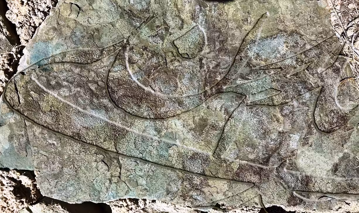 stoneNFT010