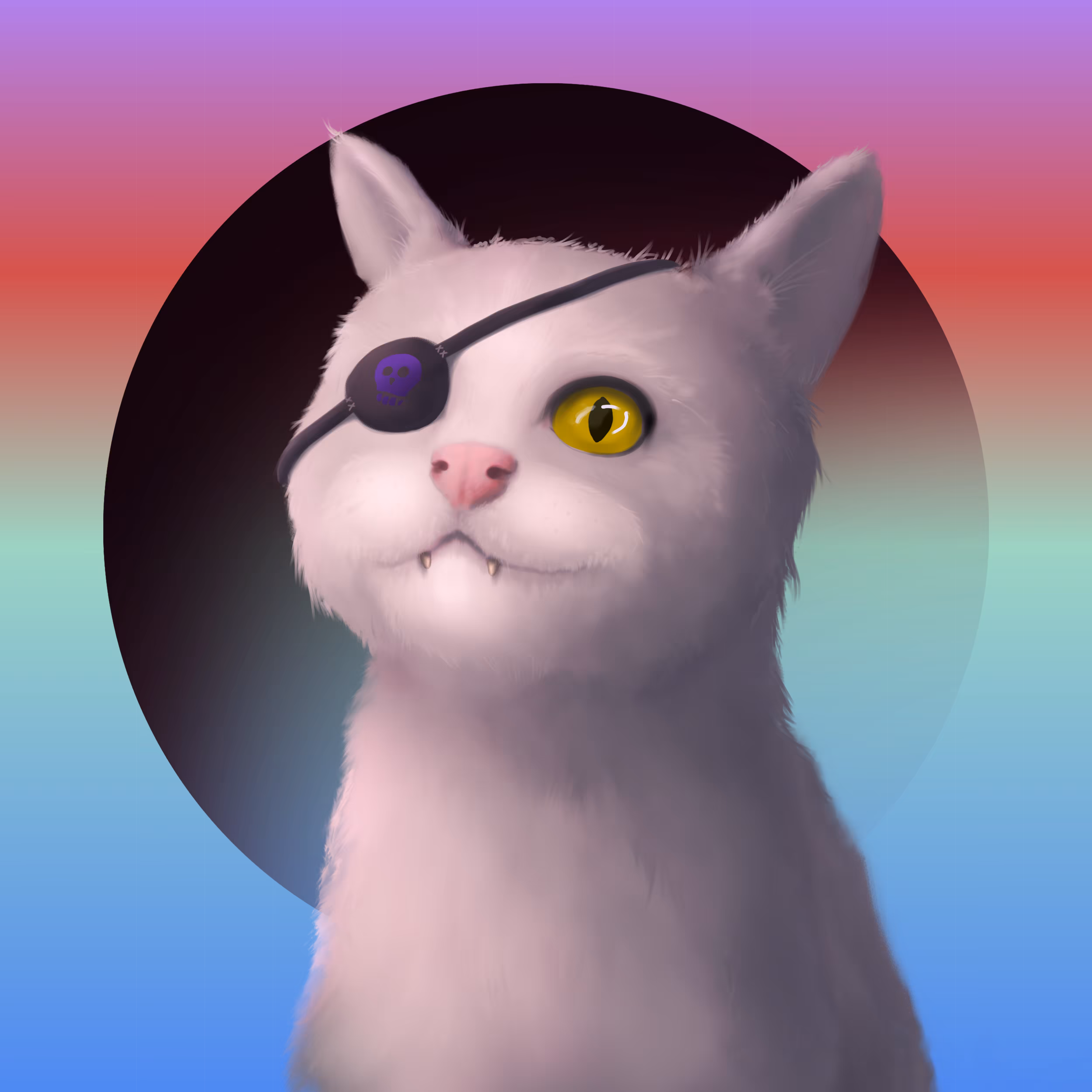 Crazy cat #19
