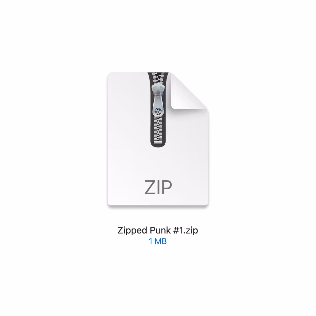 Zipped Punk #1
