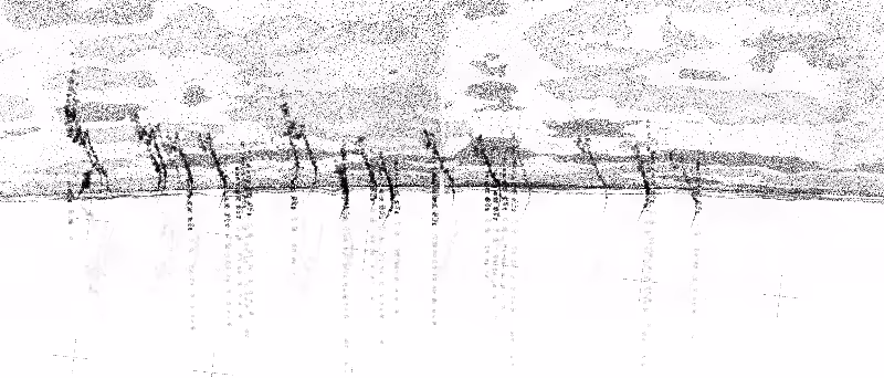 Expanse #1