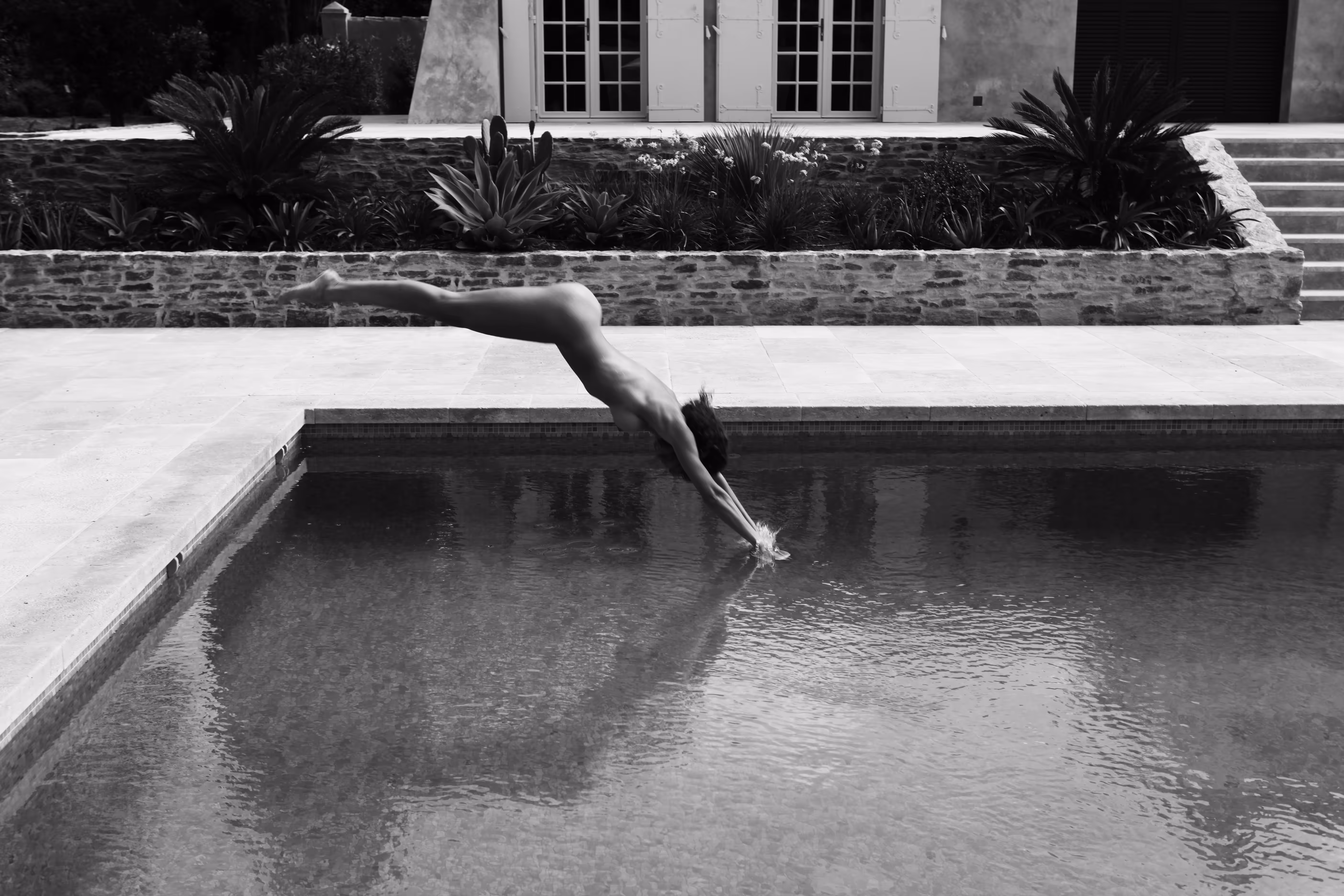 Le plongeon