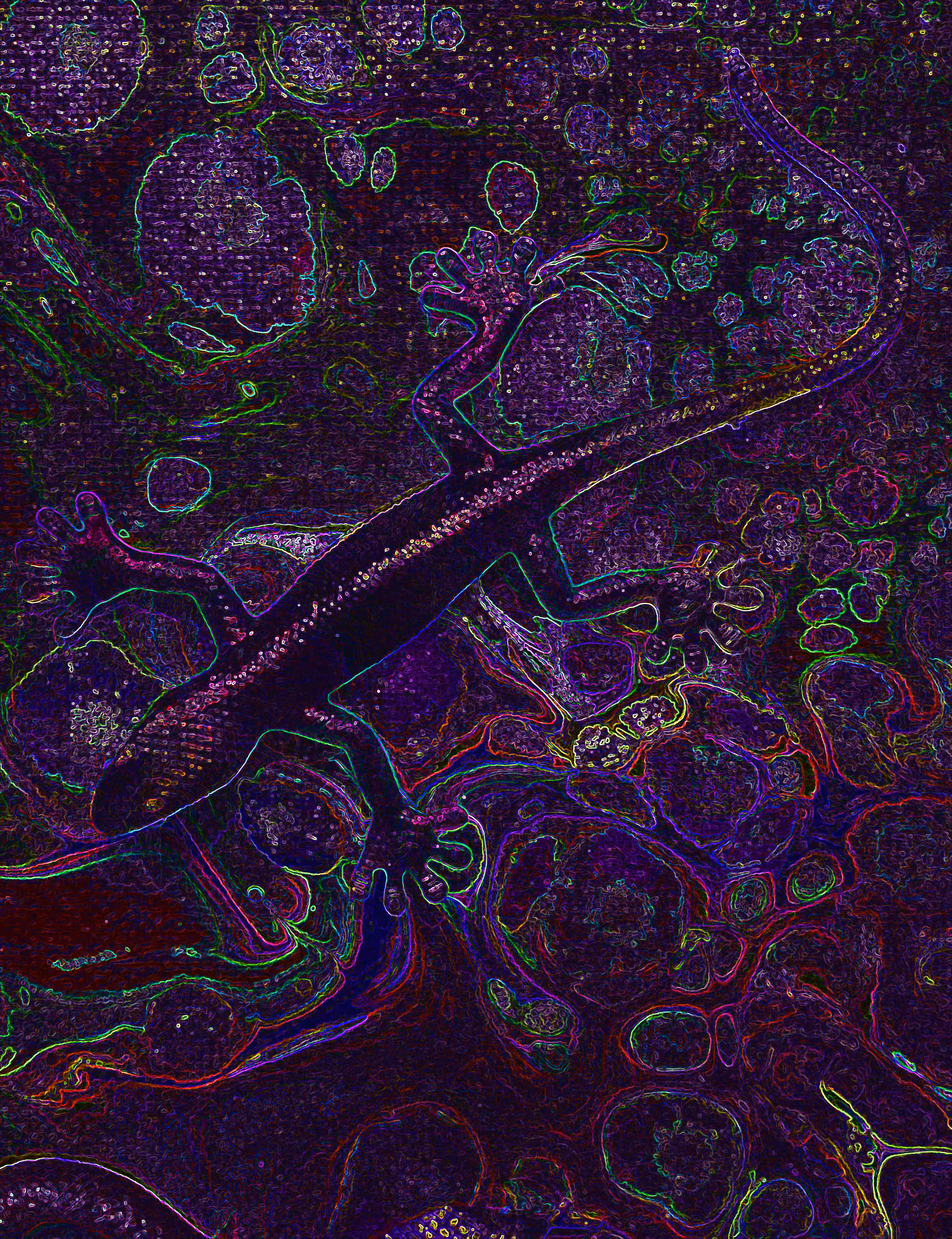 Neon Chameleon 4   @ArtByLeClaireD1