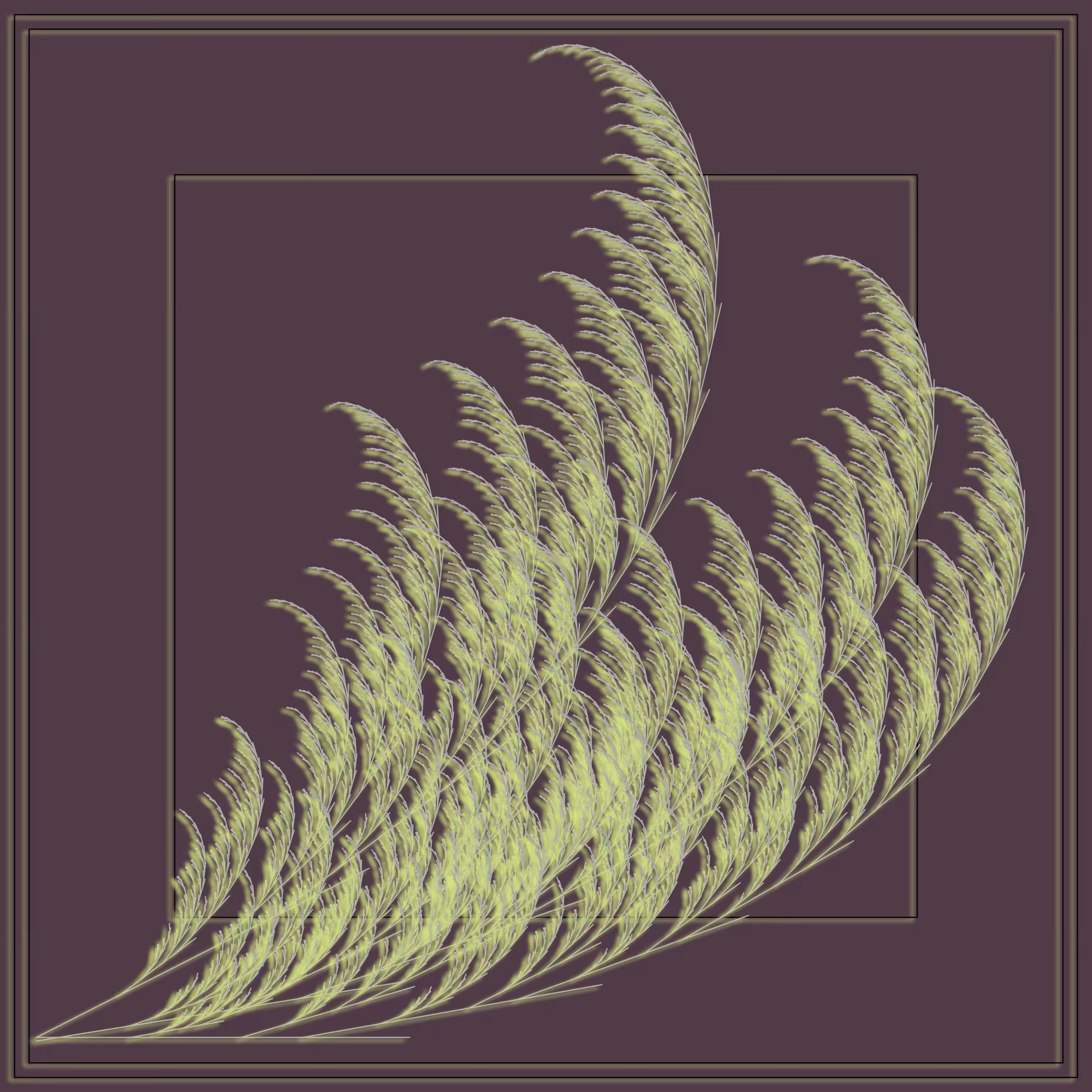 Fern #2