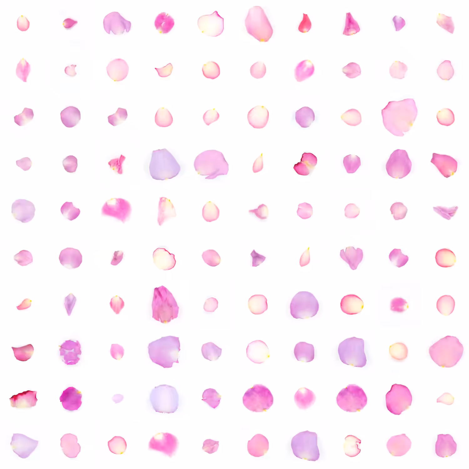 Infinite Petals 10x10#2524