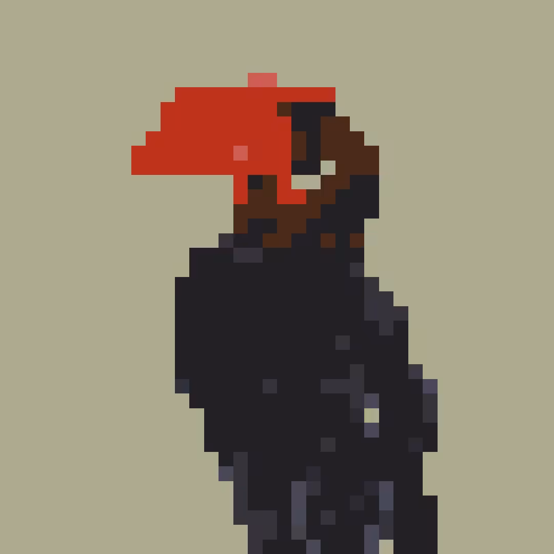 rufus hornbill