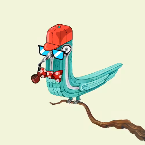 Bolbol, The Bird 016