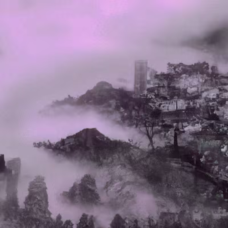 Neuro-Daguerreotypes #81