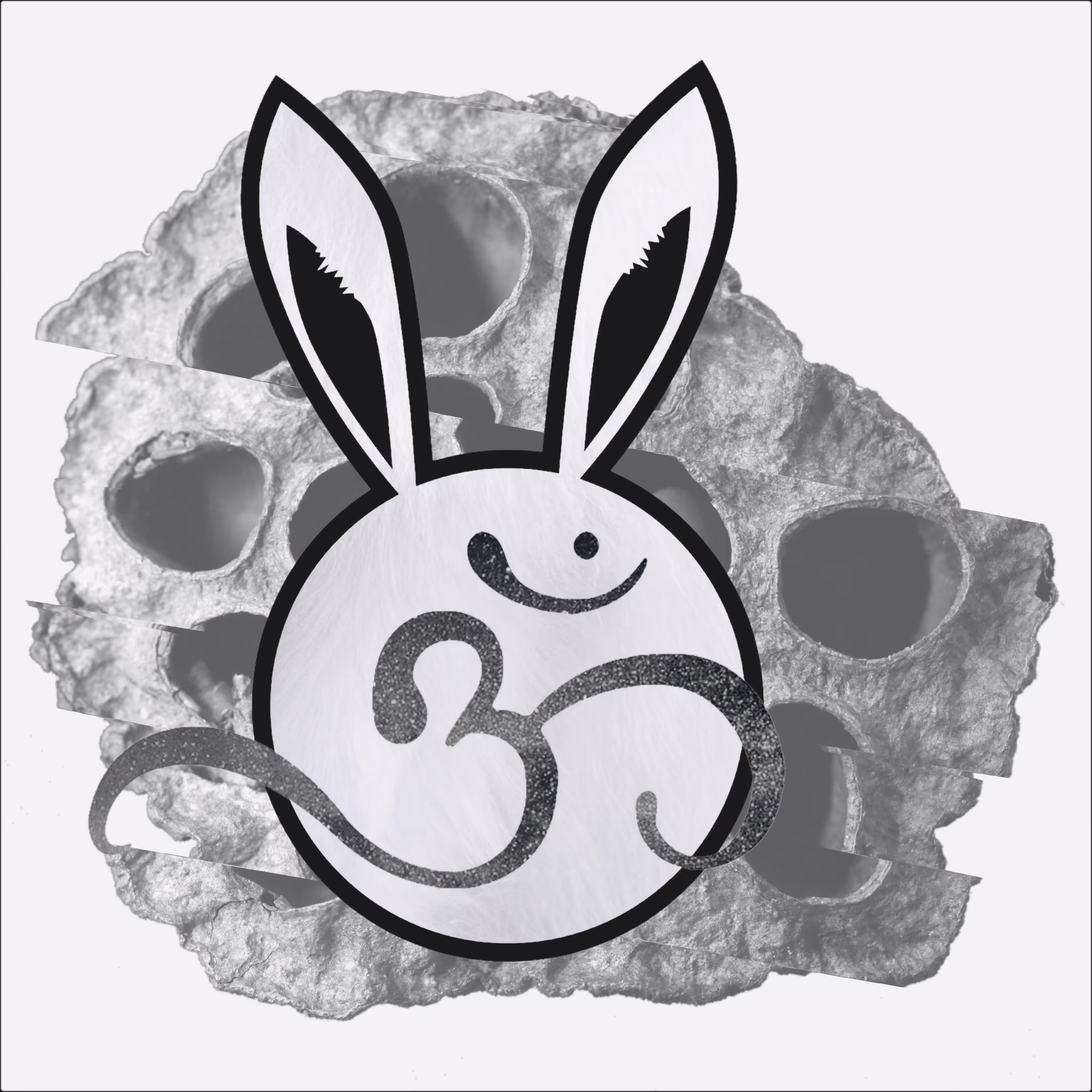 Catch the Elusive White Rabbit (artwork)