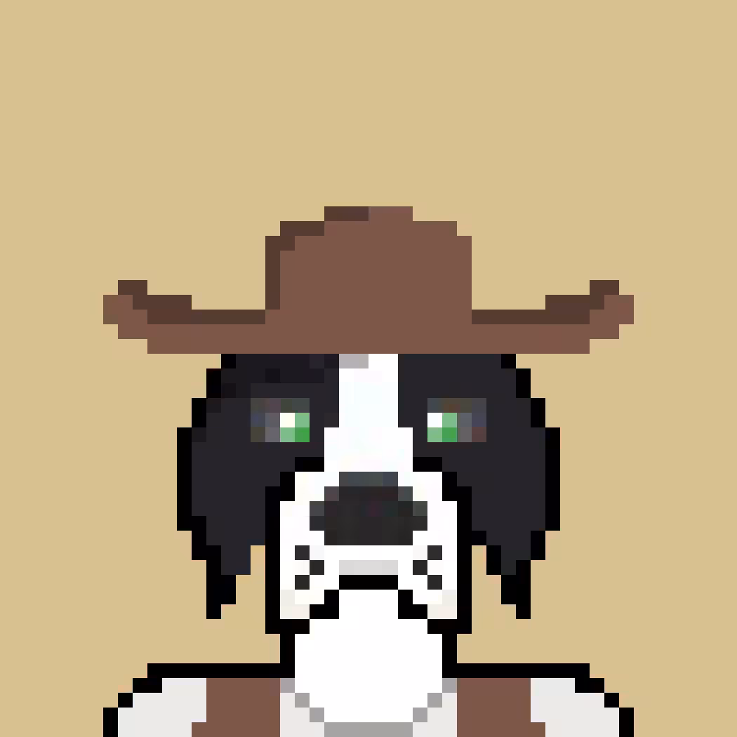 Dogzz #4
