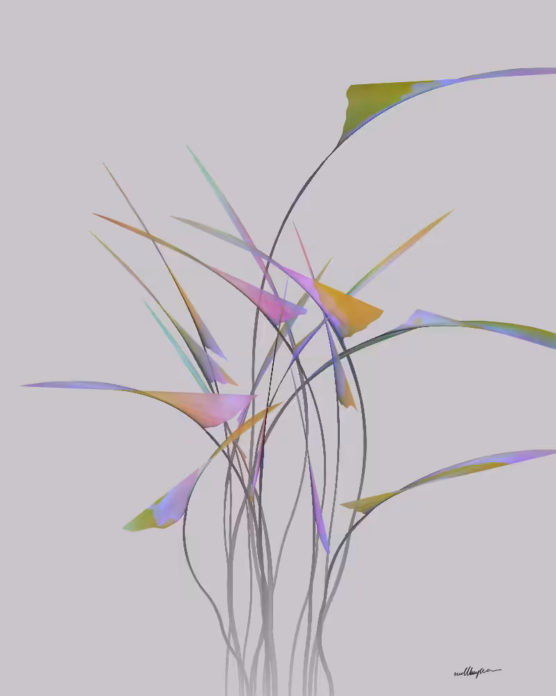 InBloom #42