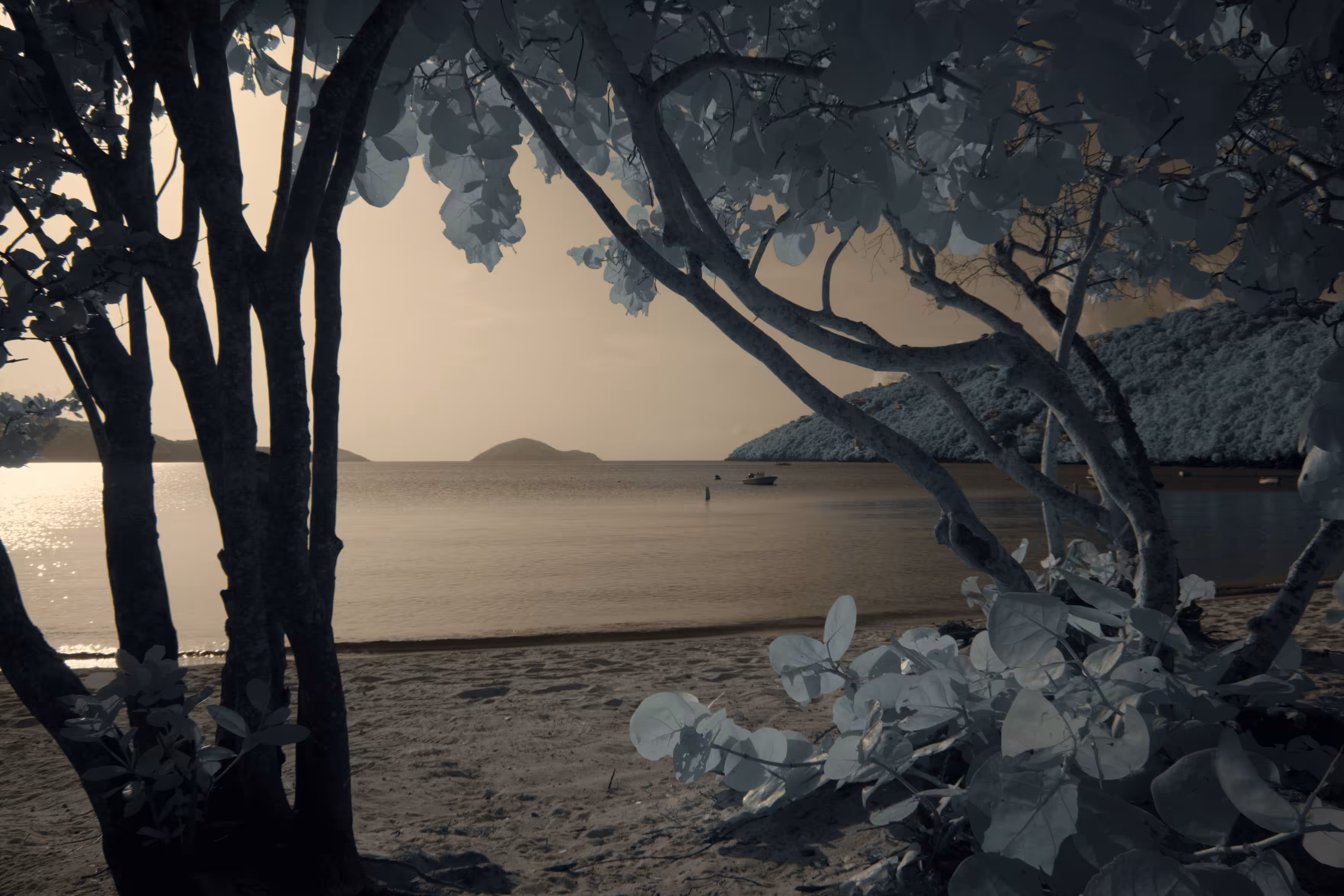 Dreams of Infrared #46