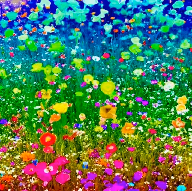 Wildflowers #5