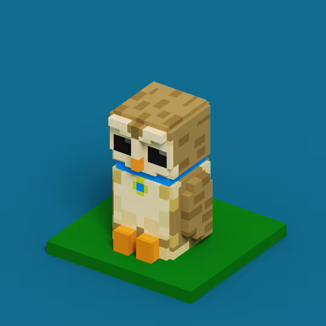 Sr.Owl #1