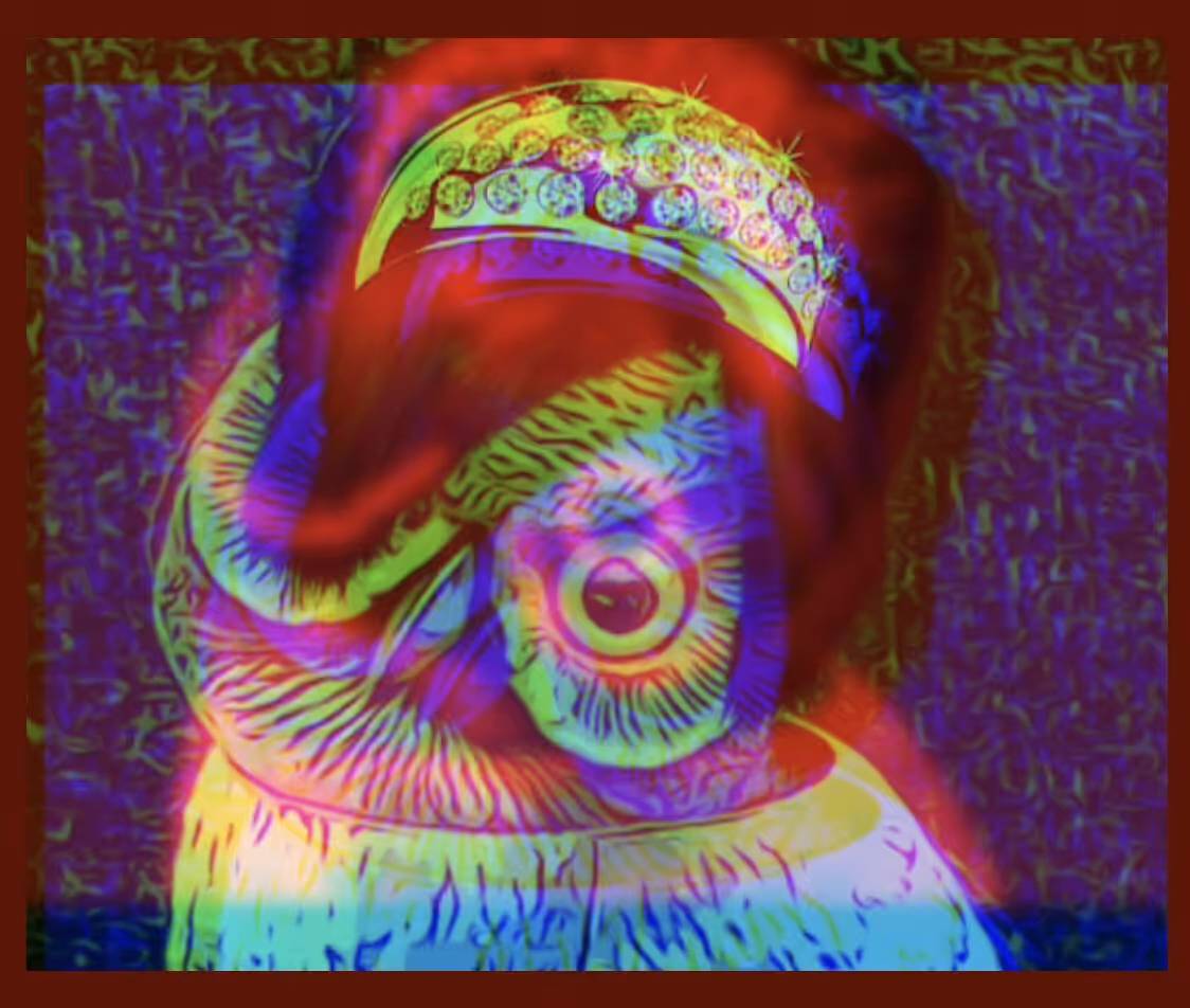 YARD OWLS - #13) "SHARON"
