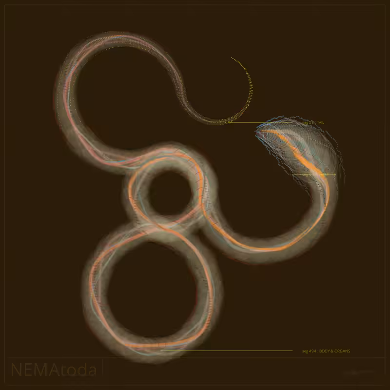 NEMA #20