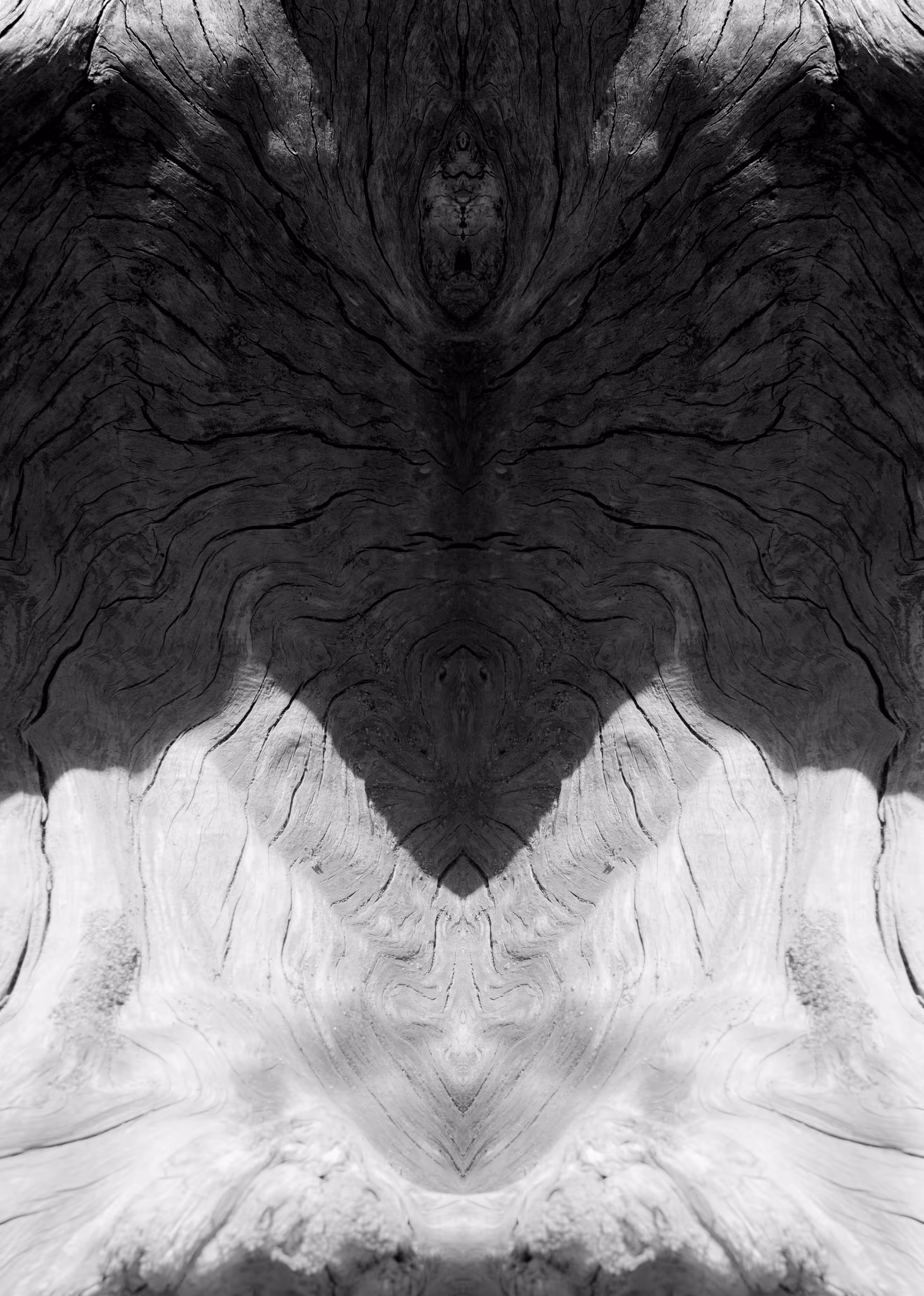 Rorschach #193