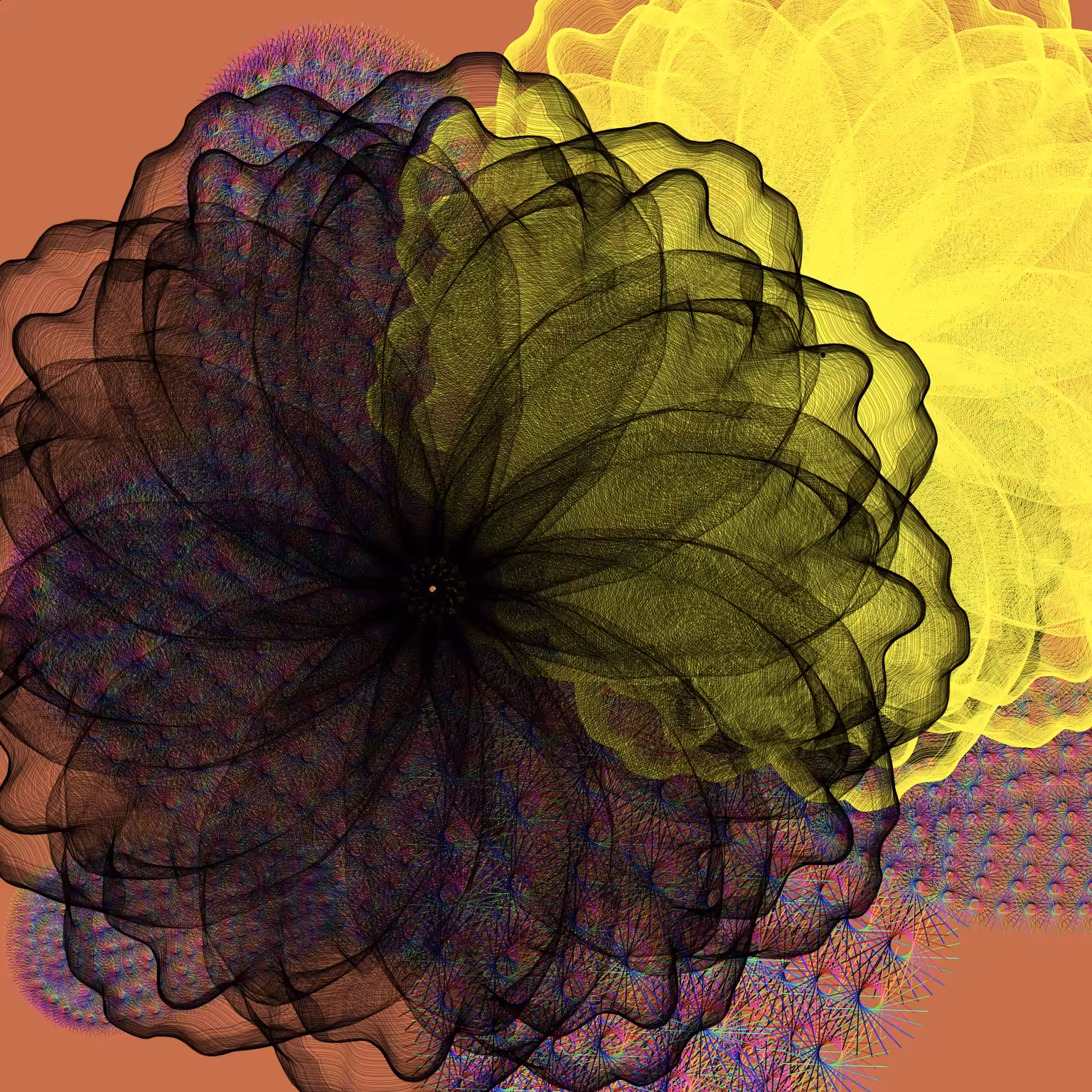 Cactus Flower