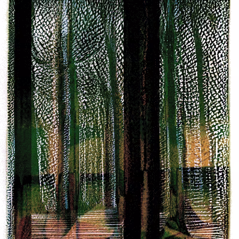 The Hum of Cyber Forest #203