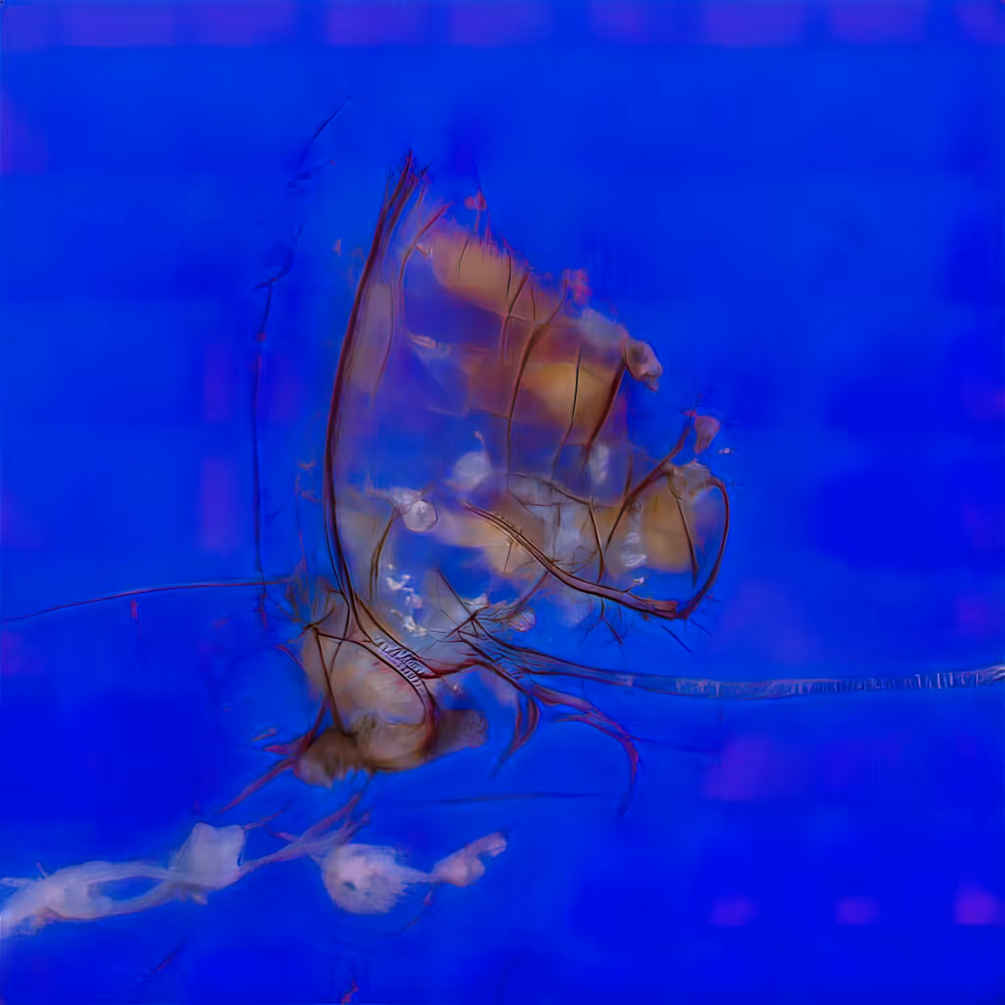 Emergent Finale 00309