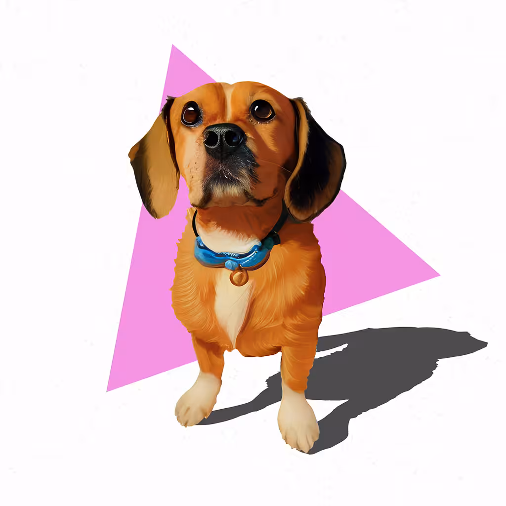 Dog and Design 3/4
