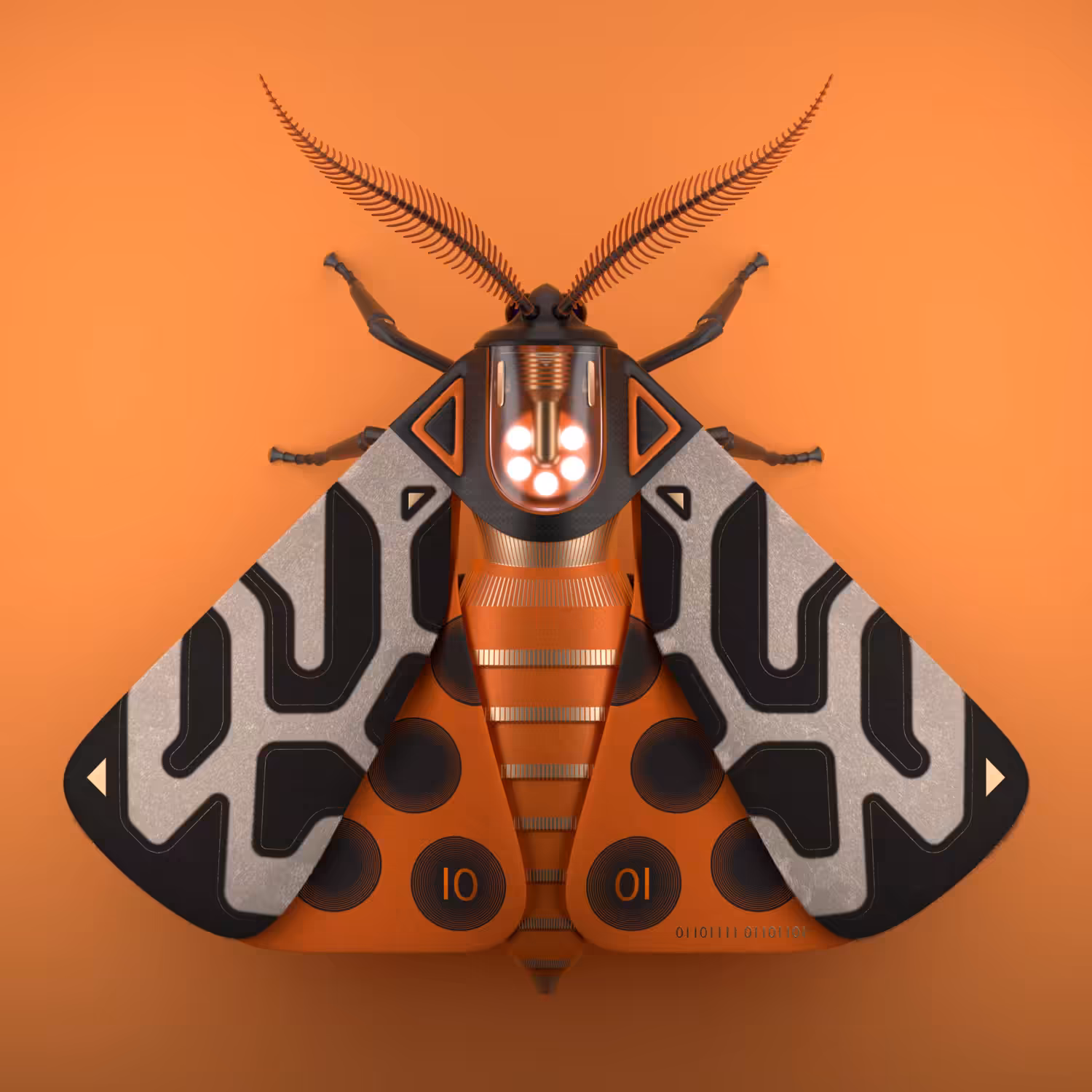 Tiger Moth